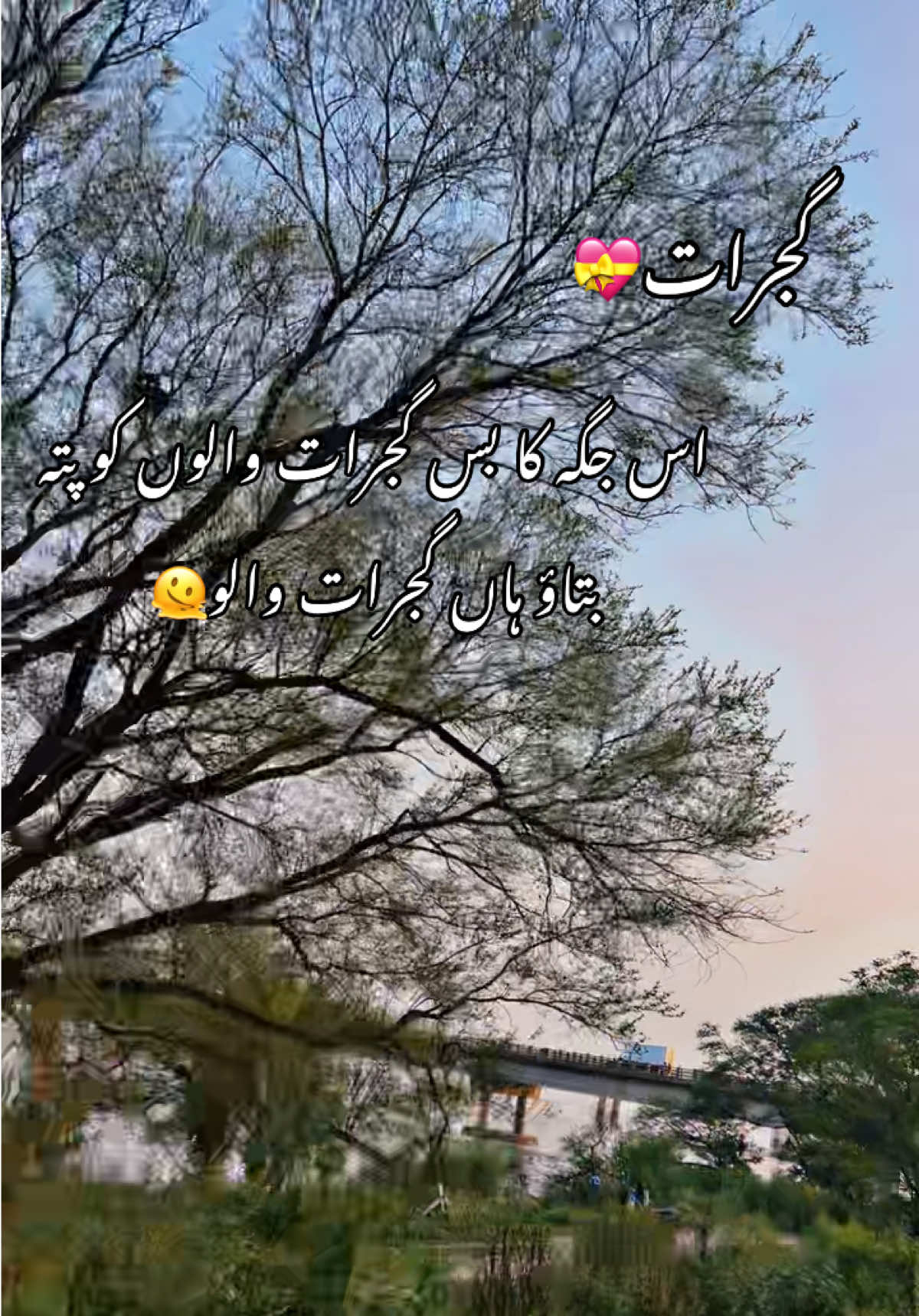 @YOUR GUJRAT💝