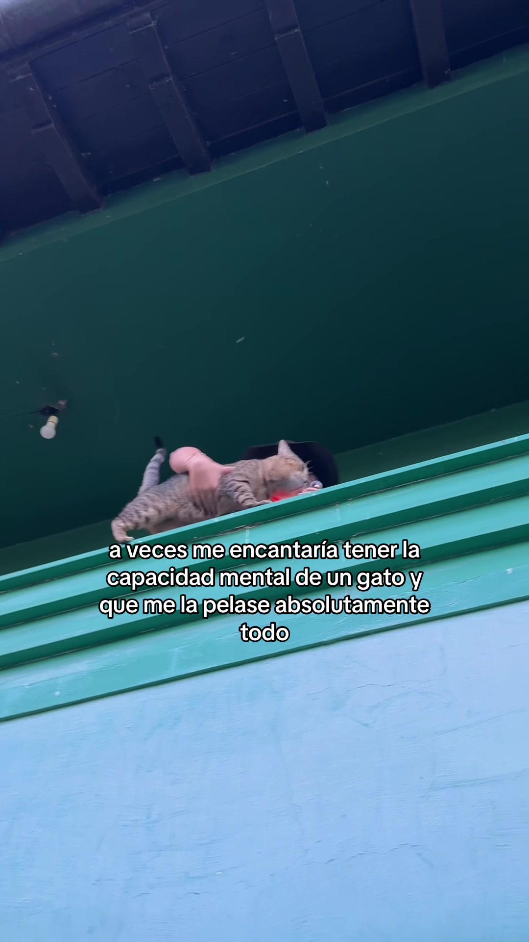 @Romina