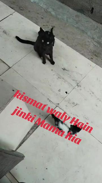 @Meerab ki mama