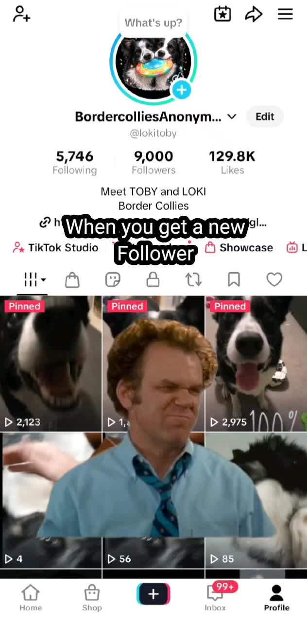 @BordercolliesAnonymous