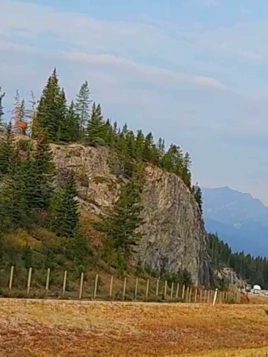 @EXPLORER