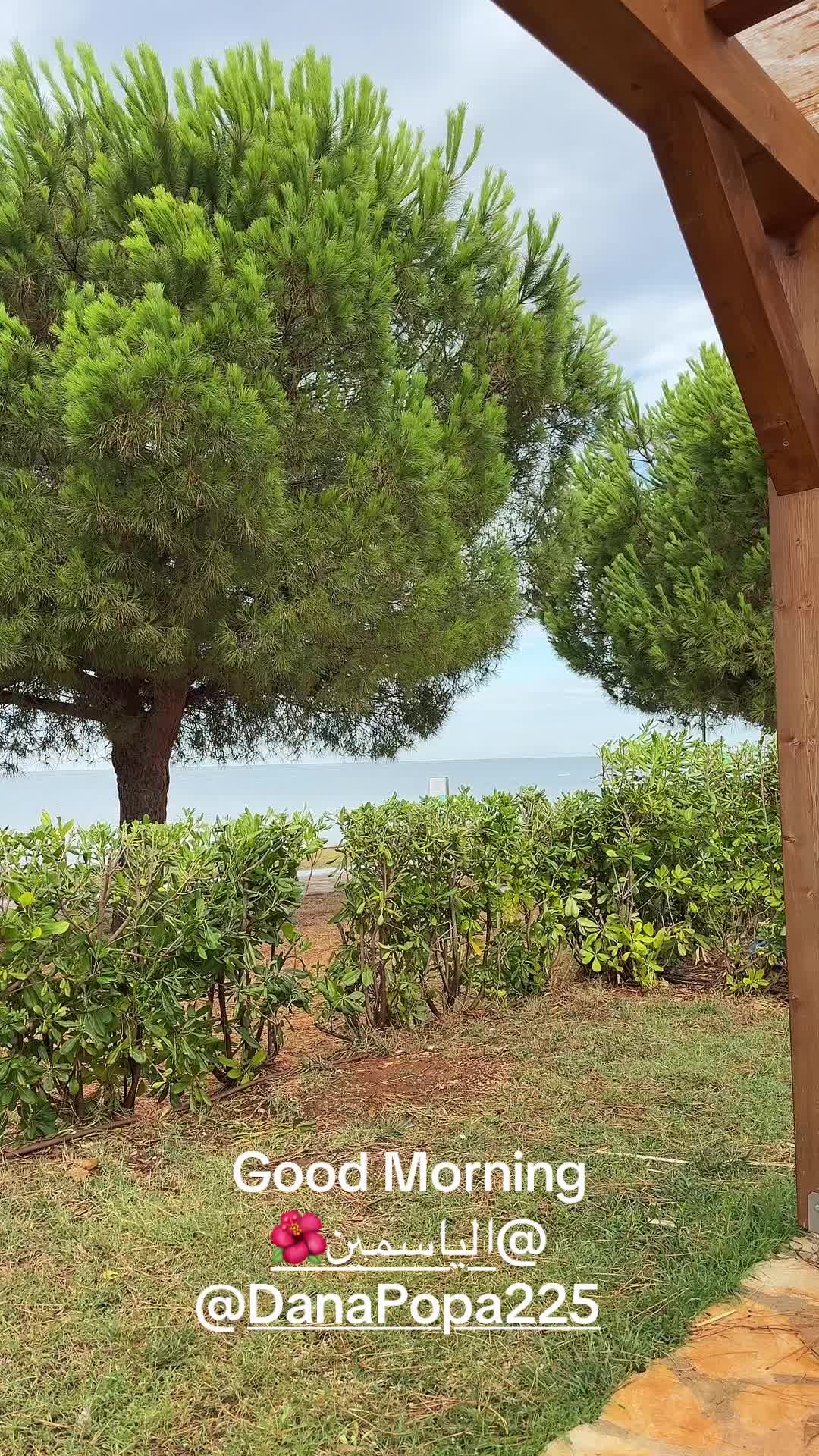 @MolinusPopa