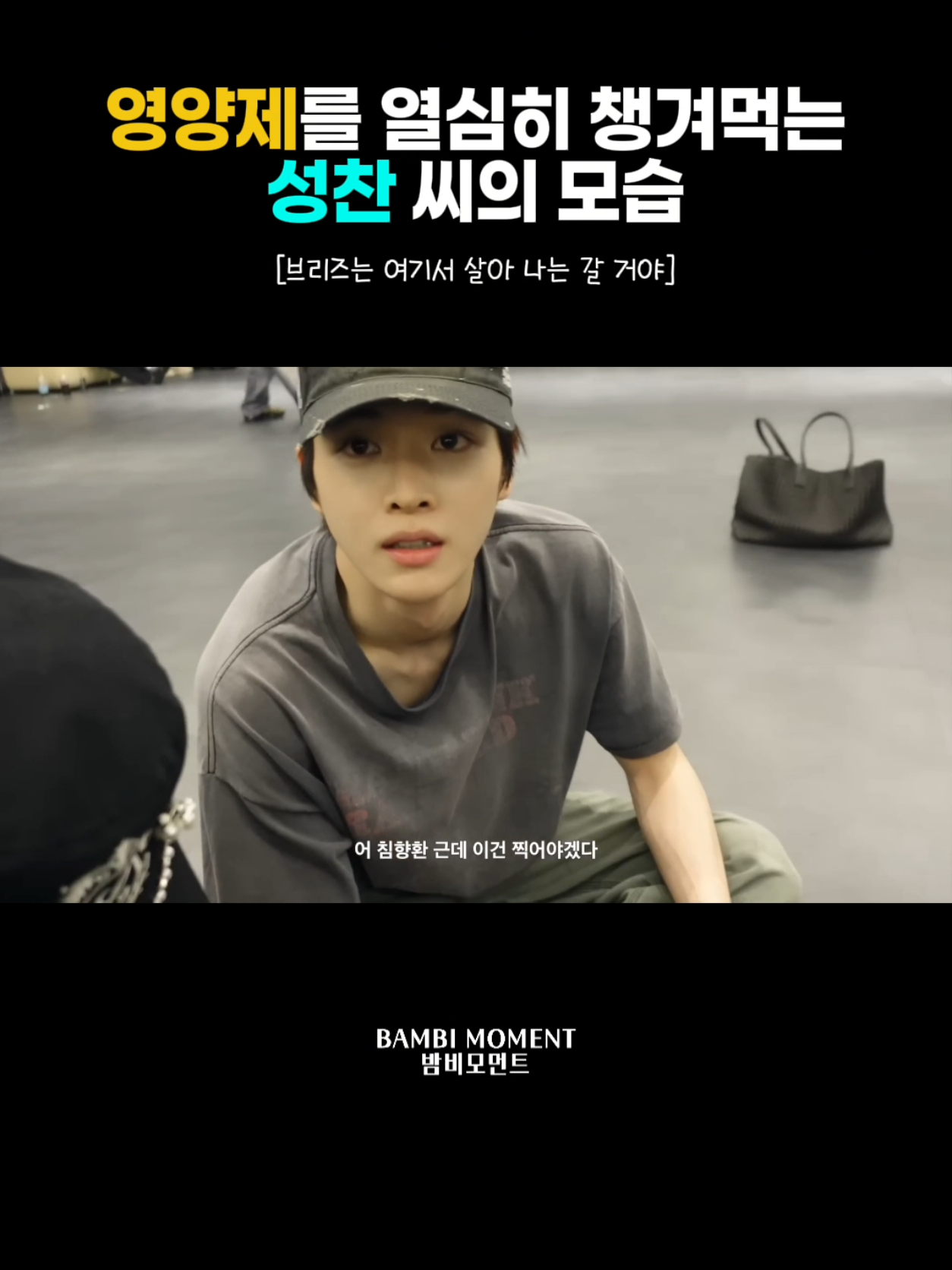 @밤비모먼트 Bambi Moment