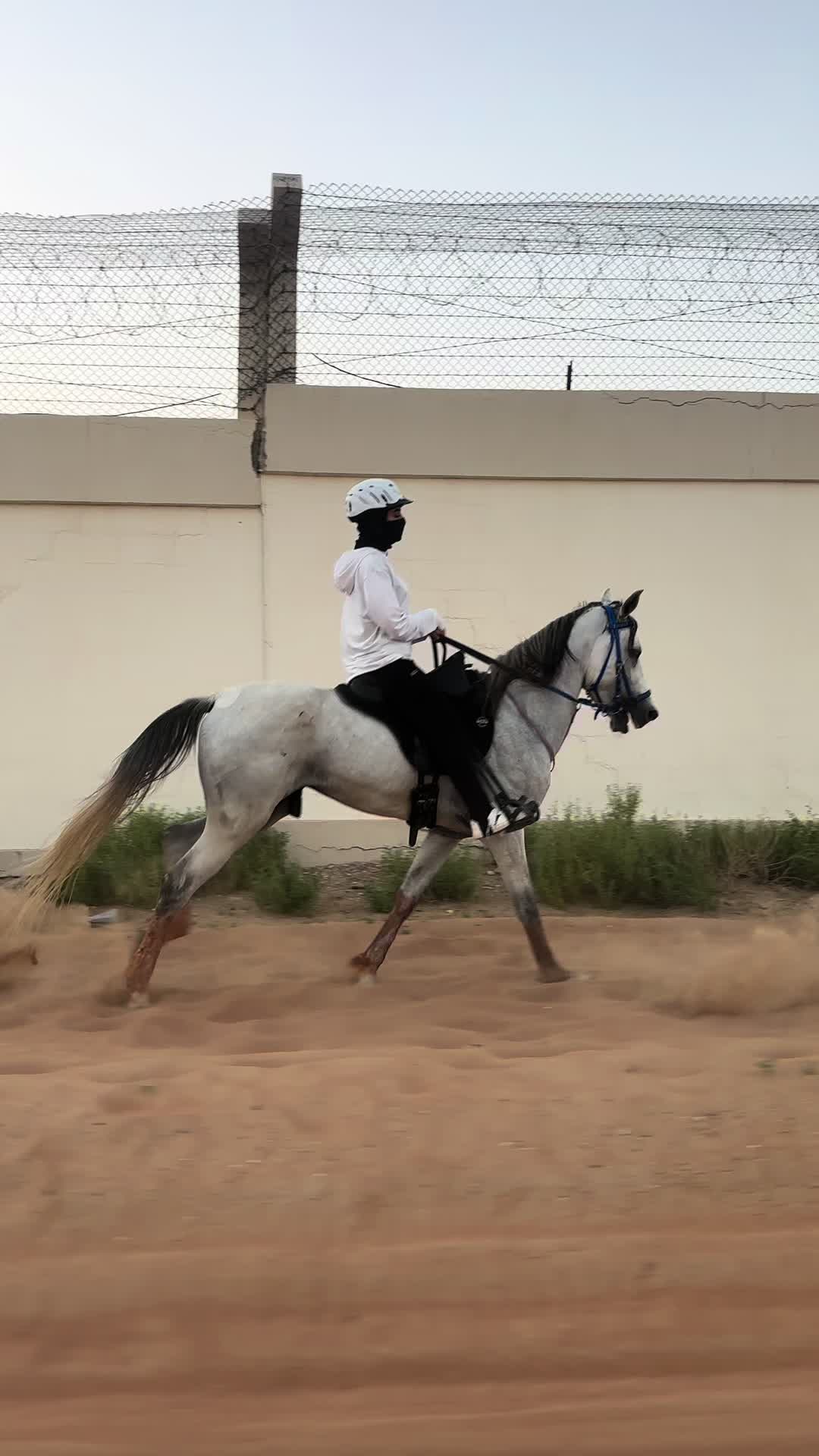 @شـمـا