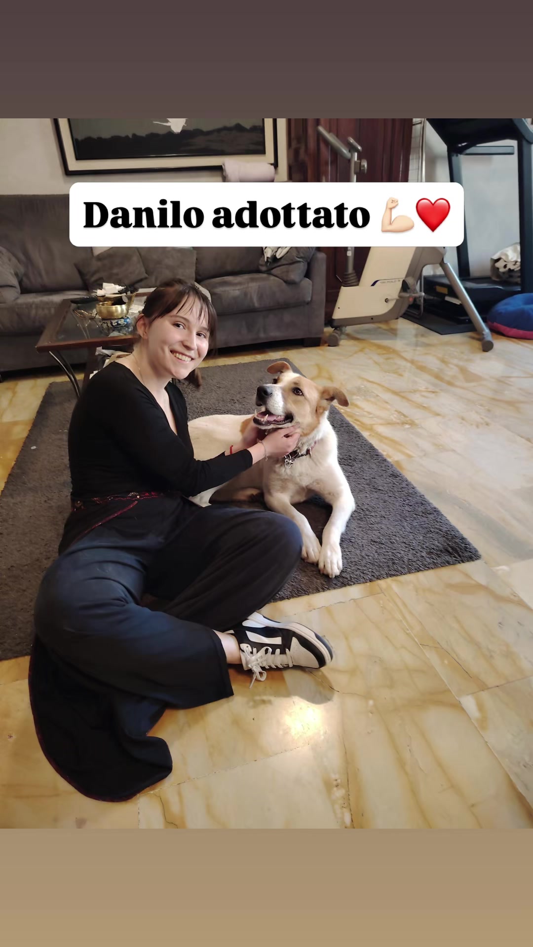 @Amor cane
