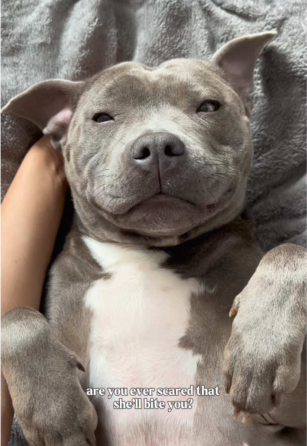 @Myla.thebluestaffy🤍