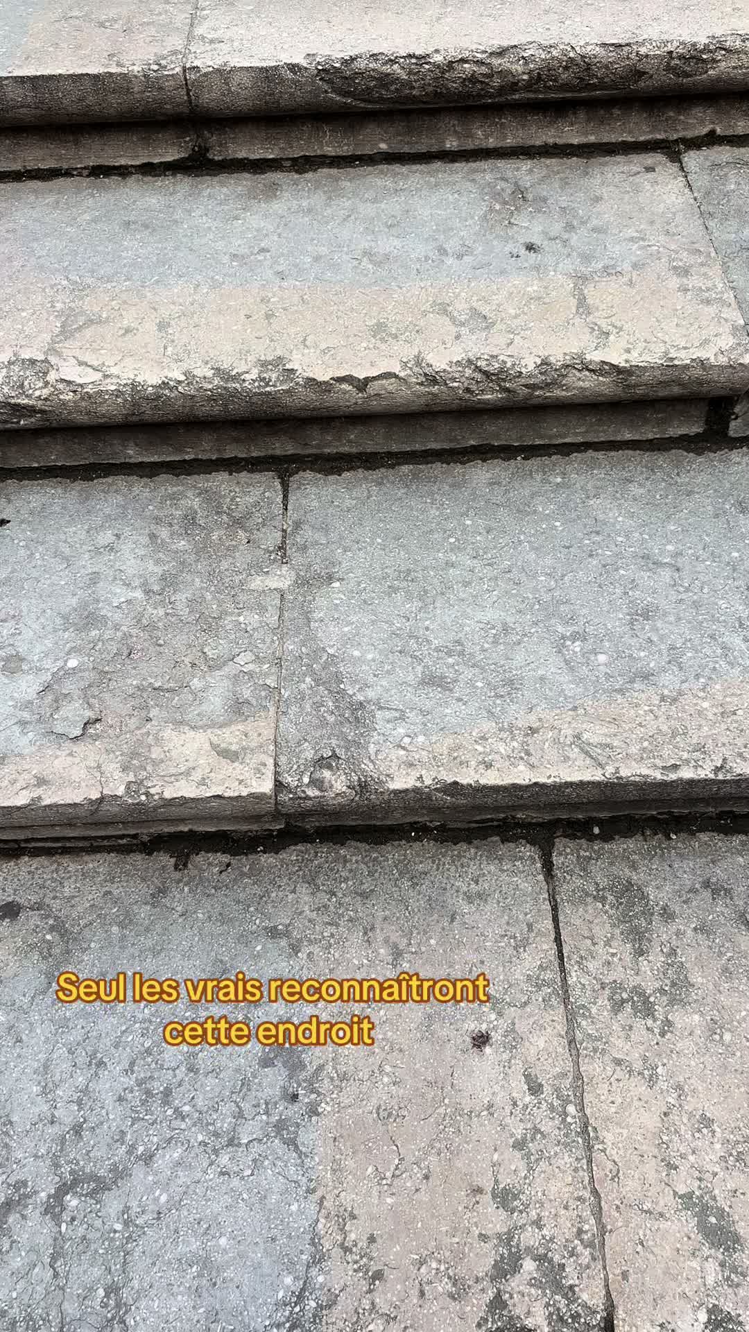@Nini
