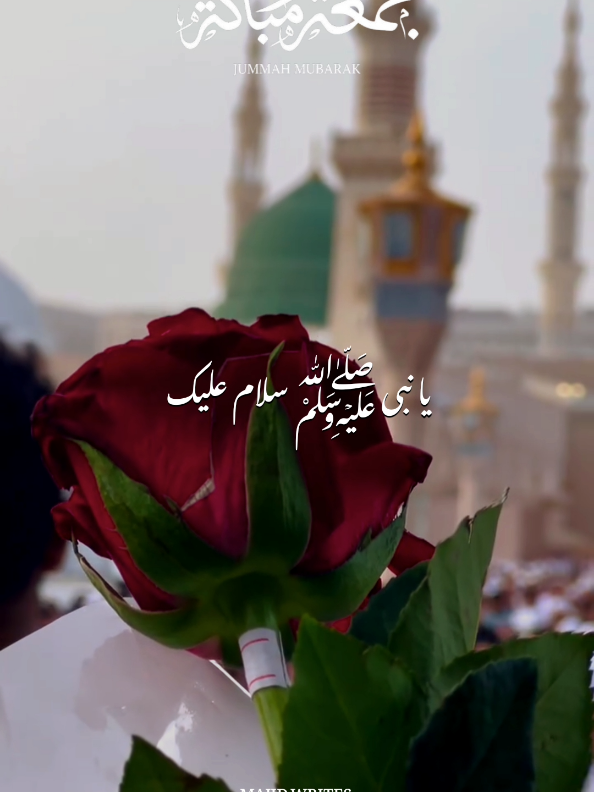@𝙈𝘼𝙅𝙄𝘿 𝙒𝙍𝙄𝙏𝙀𝙎 ✨