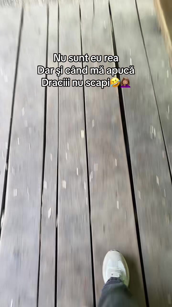 @🦈