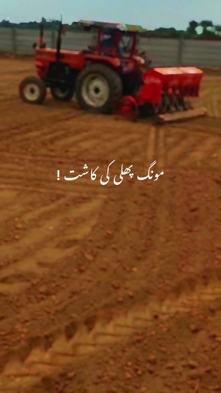 @hafeezm17