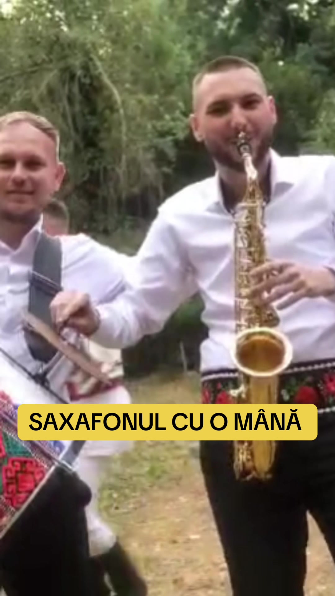 @Adi Ardelean Oficial