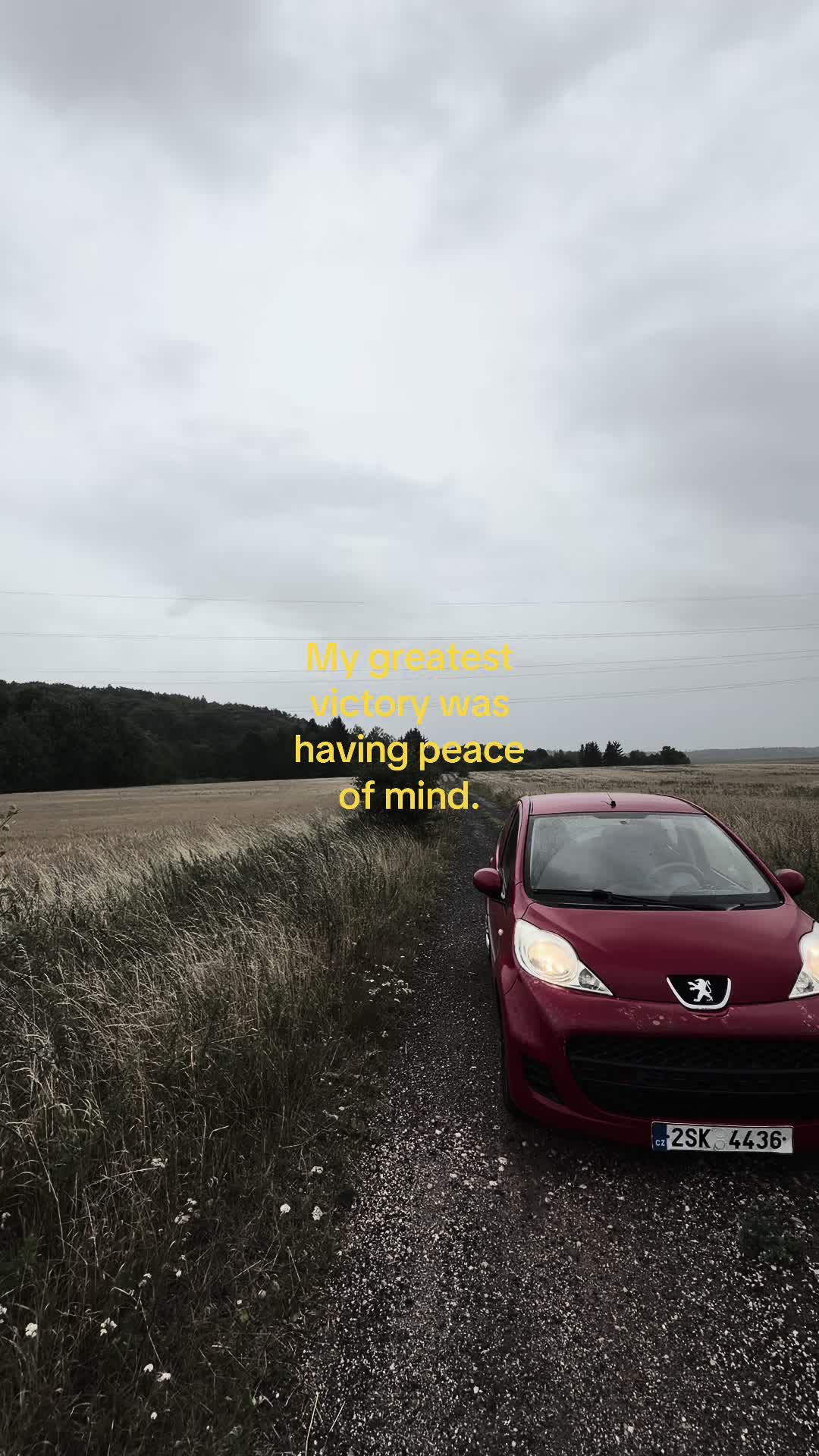 @poldisek🇨🇿