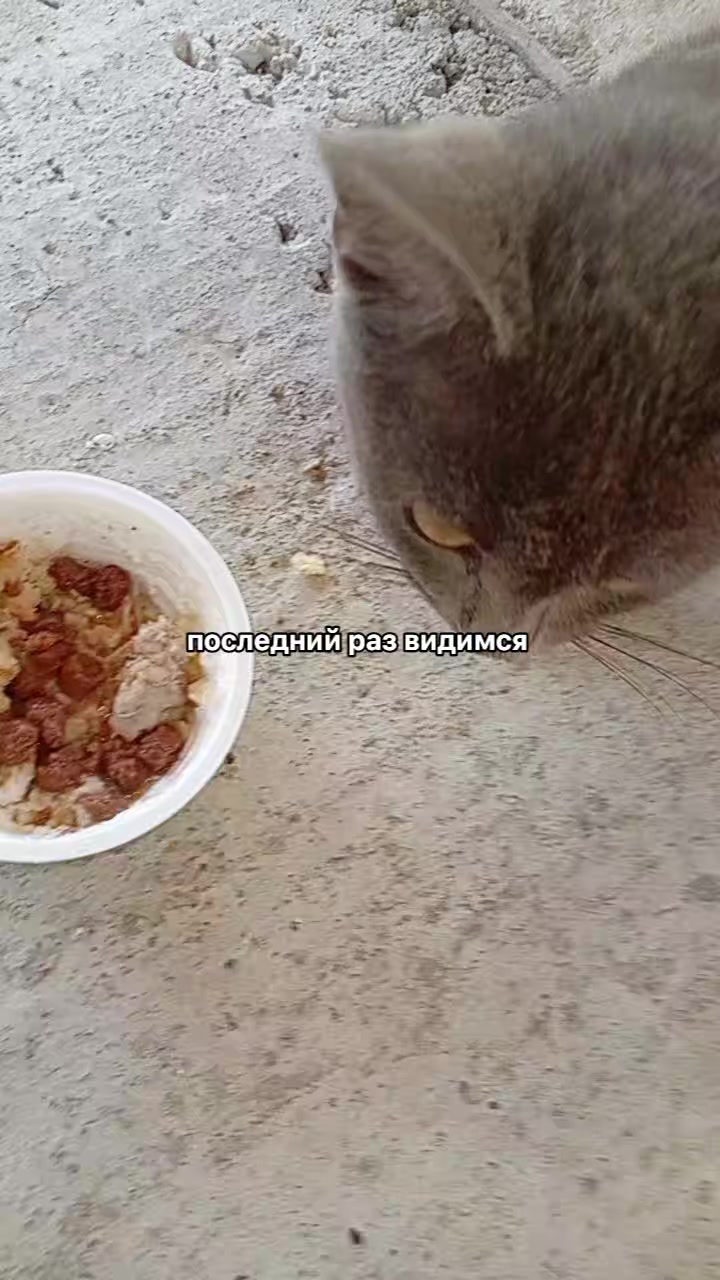 @𝓜𝓲𝓵𝓮𝓭𝓲 𝓓𝓪𝓶𝓪🪽