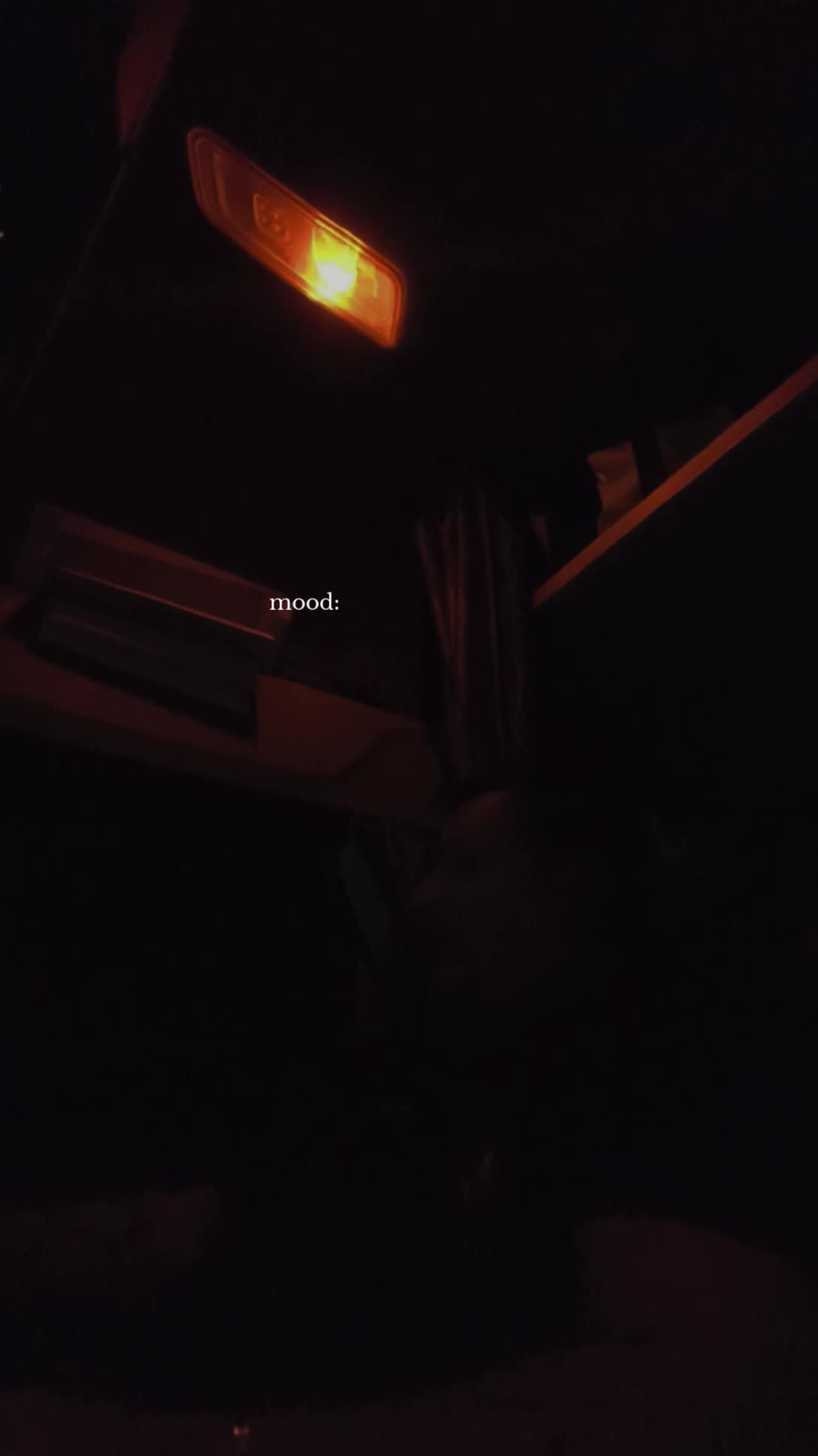 @🪷🔥Al4exXx🔥🦎