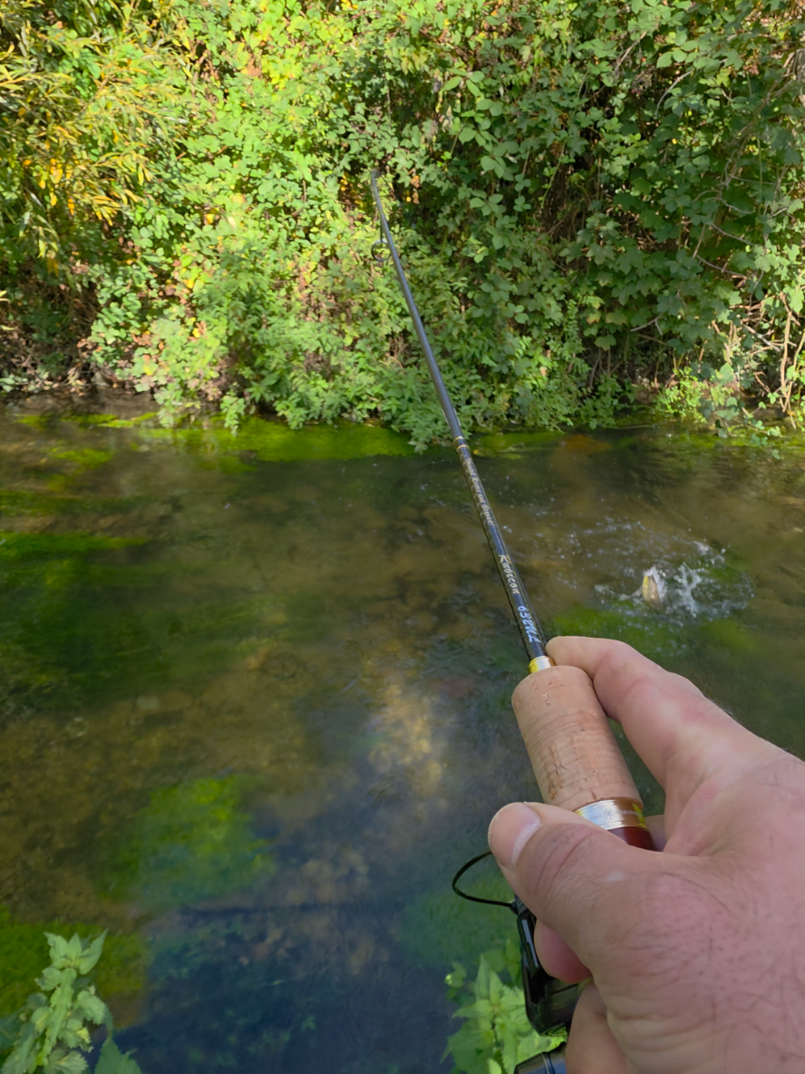 @BF Angler