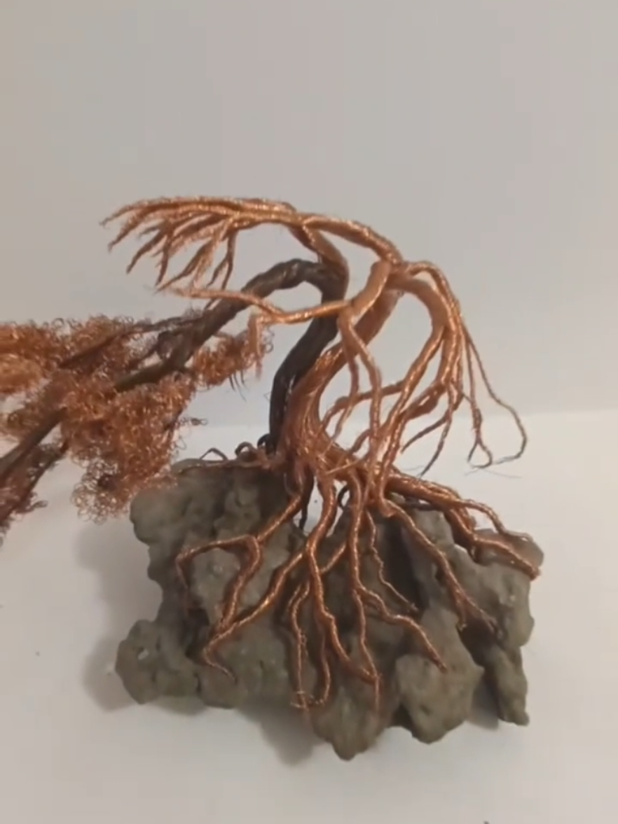 @TreeofLifeArtfan
