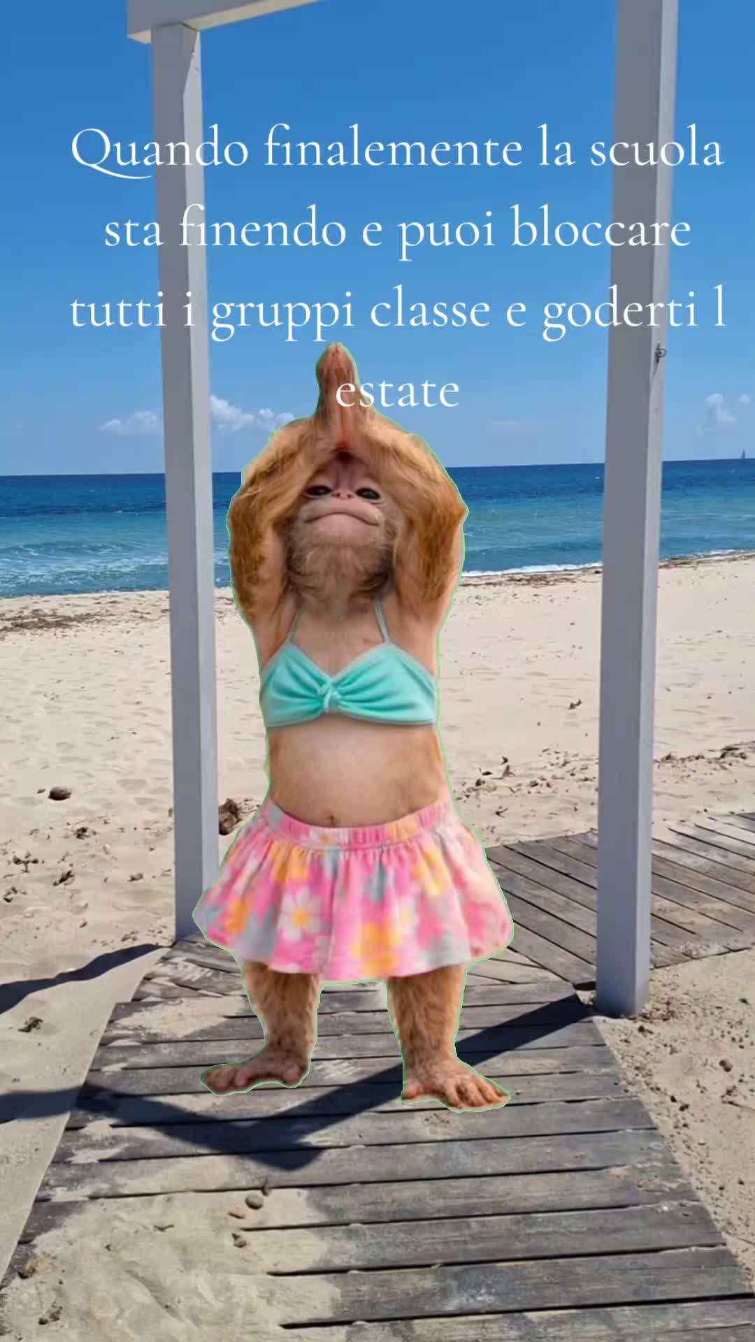 @Giada Piga