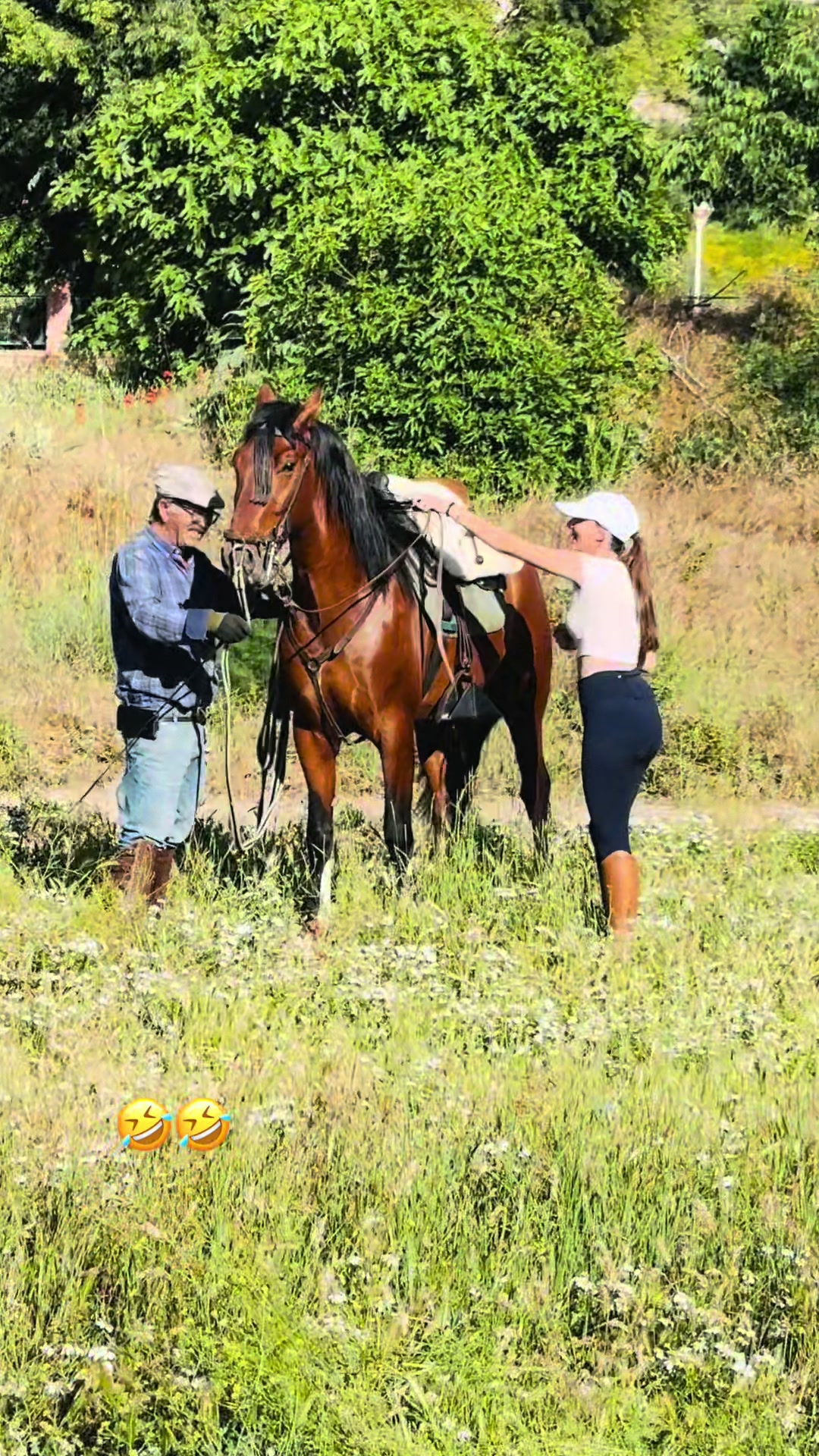 @Sandra Molina🐎🇪🇸