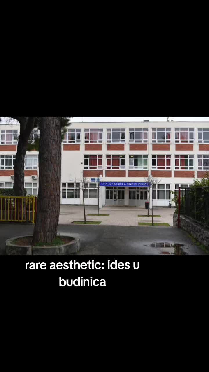 @paviciic🕸️