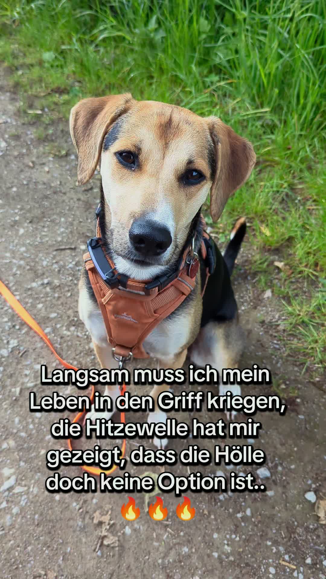 @ꪑⅈꪶꪖ ꪑꪮꪀᥴꫝꫝⅈᥴꫝⅈ