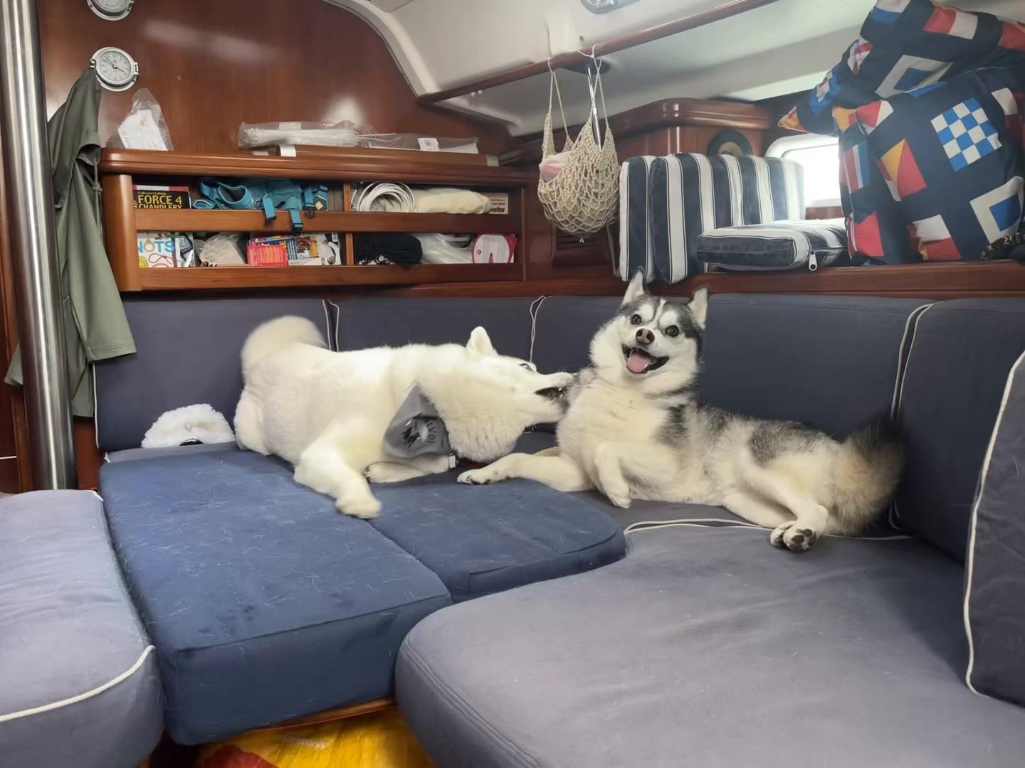 @BoatVet