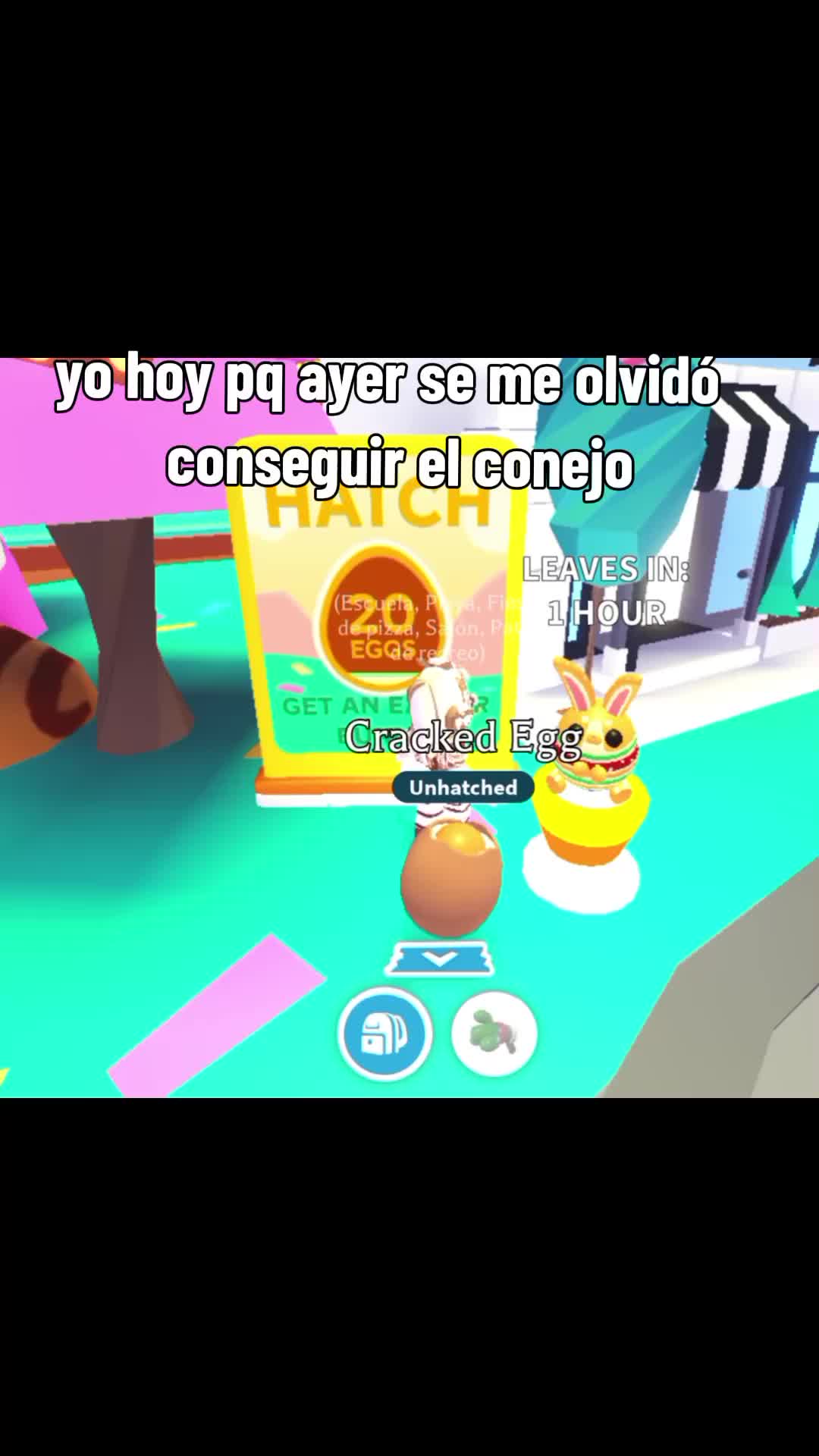@brochacho