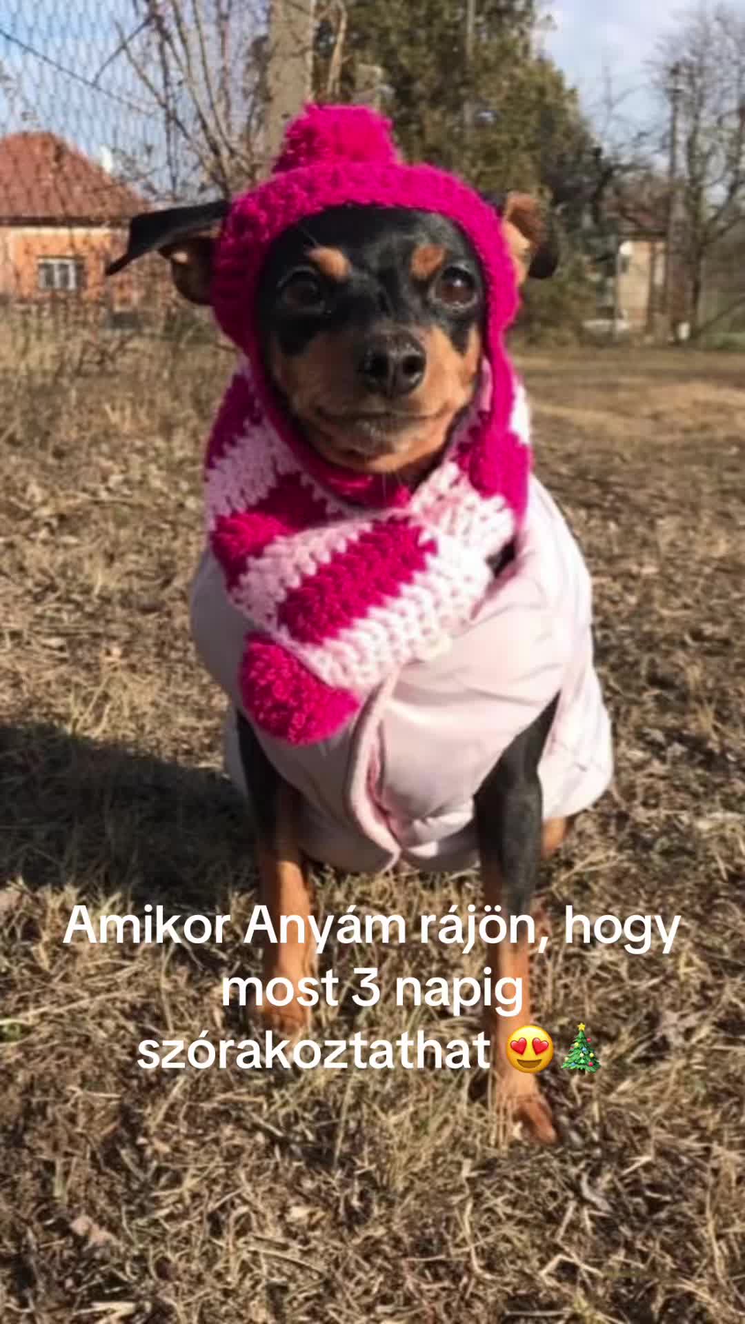 @Lucko Barf & Kutyasüti