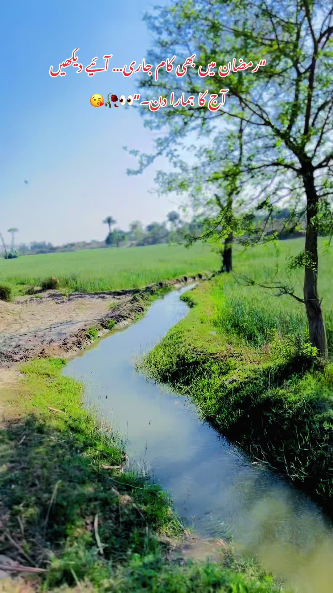 @m_amir_vlog
