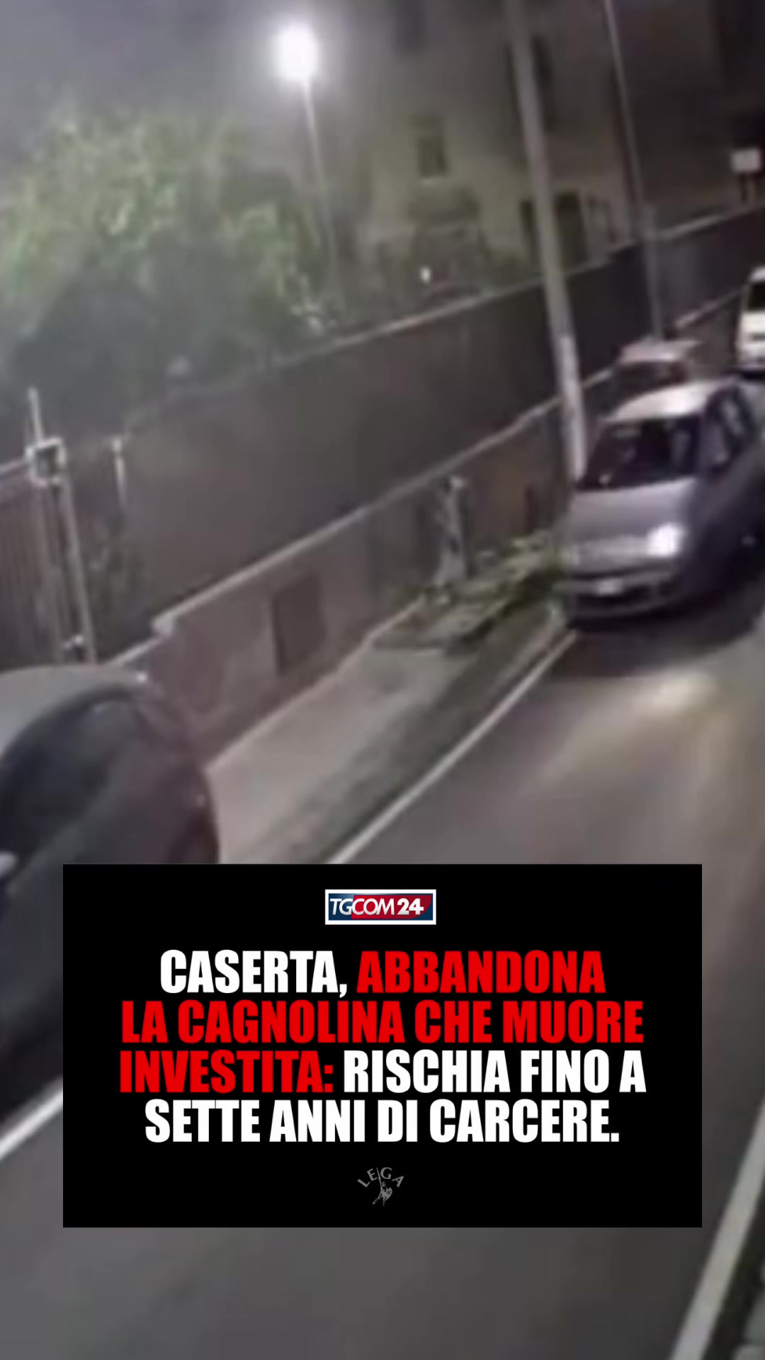 @Matteo Salvini
