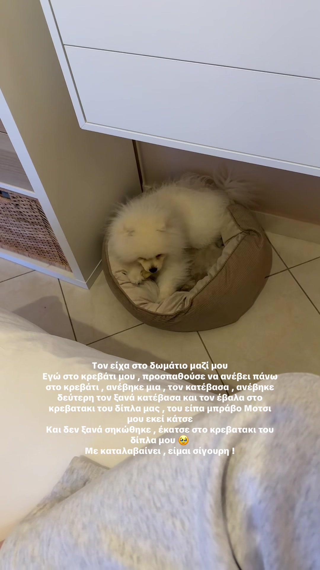 @&Kappa;&alpha;&tau;&epsilon;&rho;ί&nu;&alpha; &Sigma;&tau;&alpha;&upsilon;&rho;&iota;&alpha;&nu;&omicron;ύ