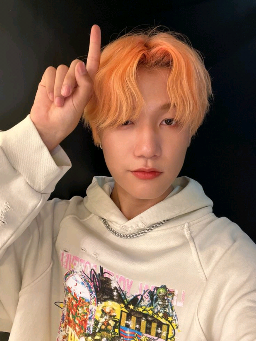 @˚˖𓍢ִ໋❀ 𝙈𝙚𝙤𝙬ʳᵃⁿᵗˢ⊹ ࣪ 🧩