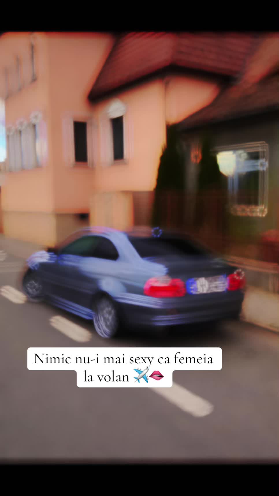 @Trina Ionescu