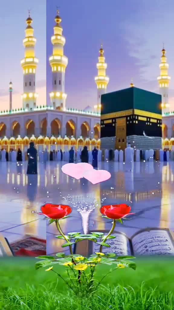 @AbdulWaheed