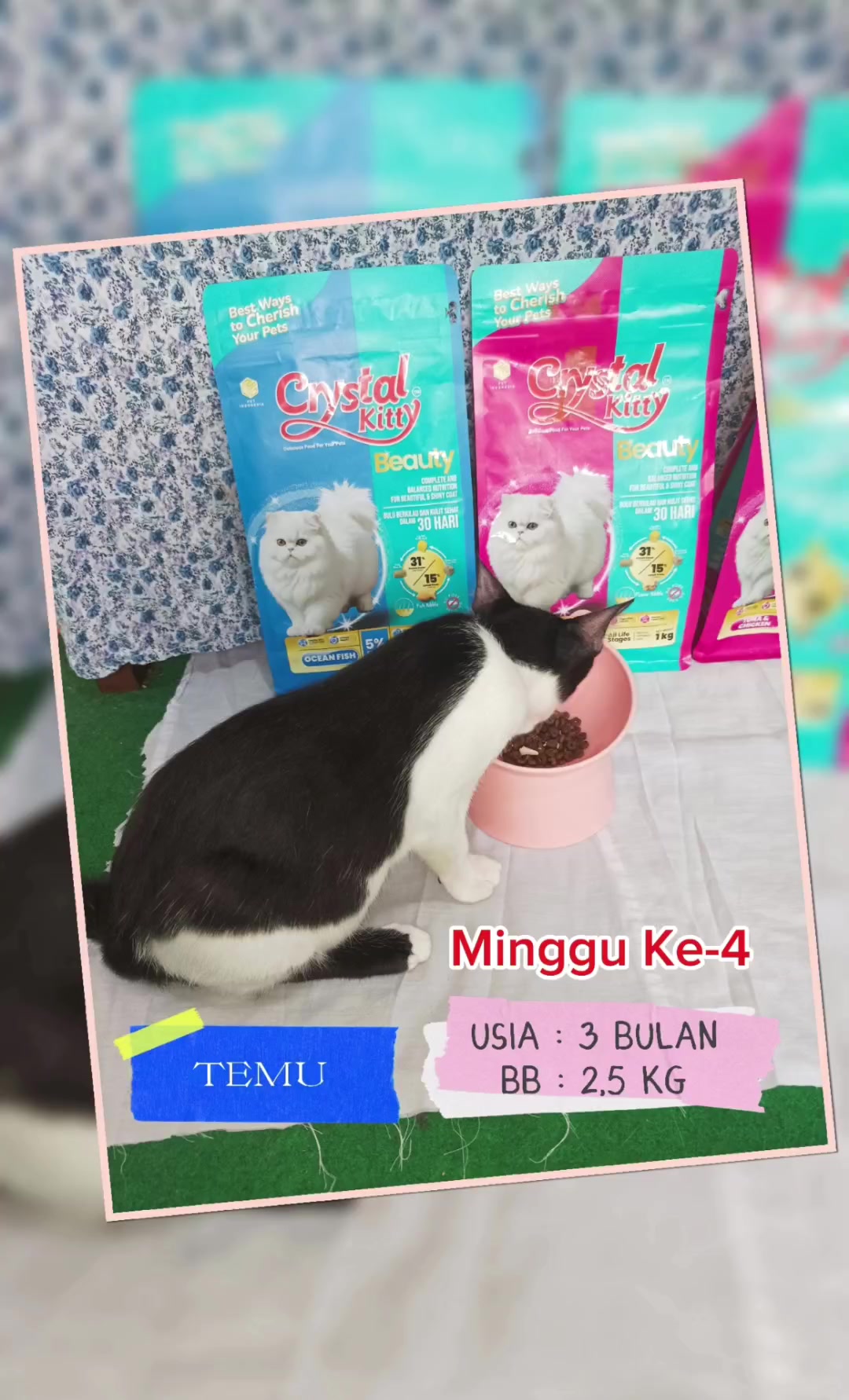 @Pras.Ayu 😻🇲🇨 🇪🇦
