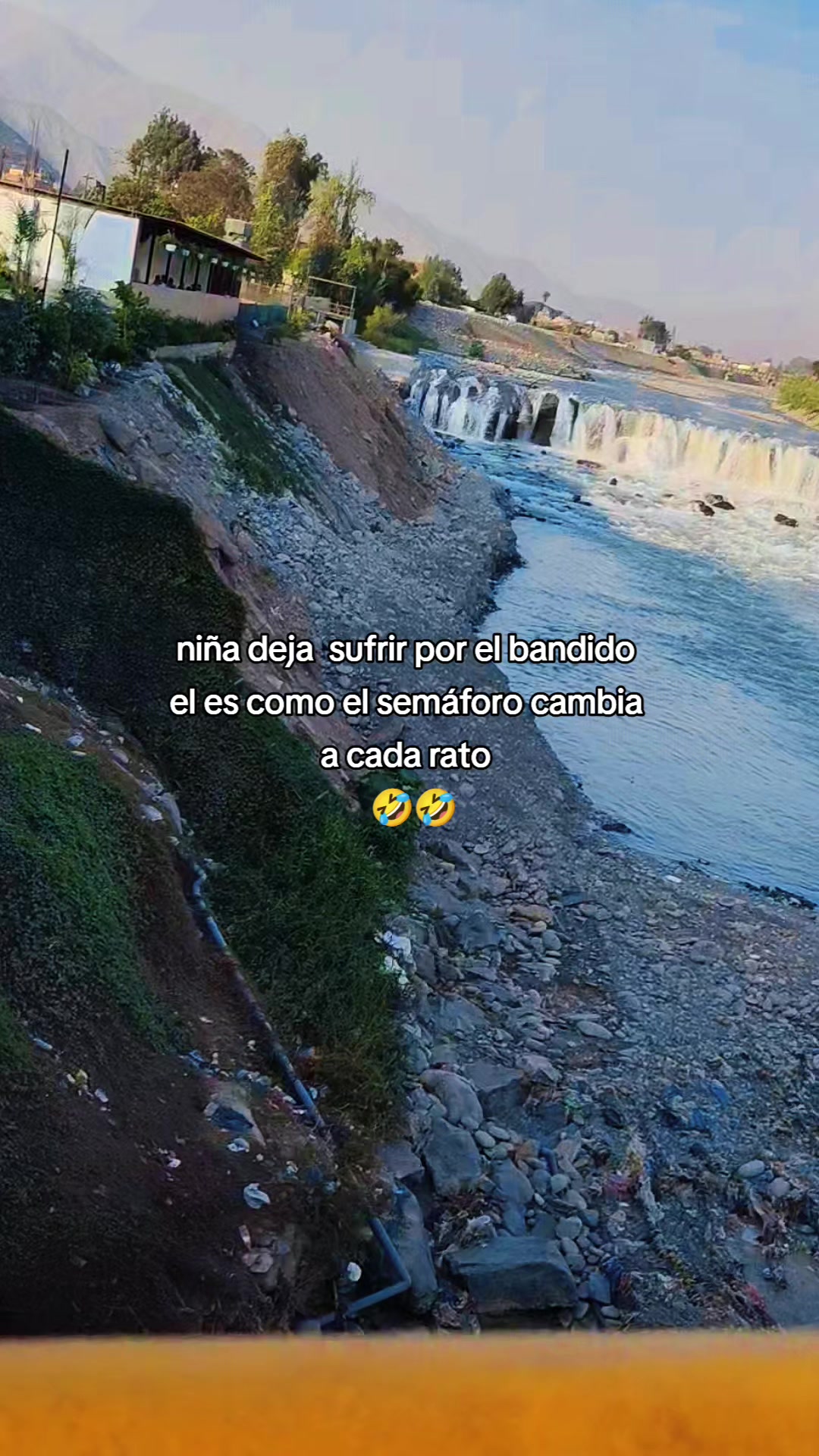 @gatita