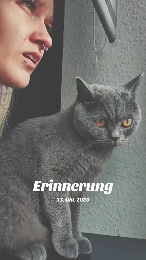 @✨️nancy_kullerbauch✨️