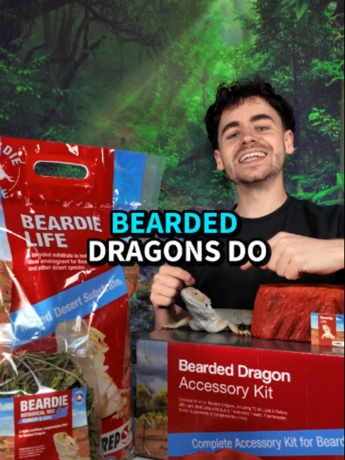 @prorep_reptile