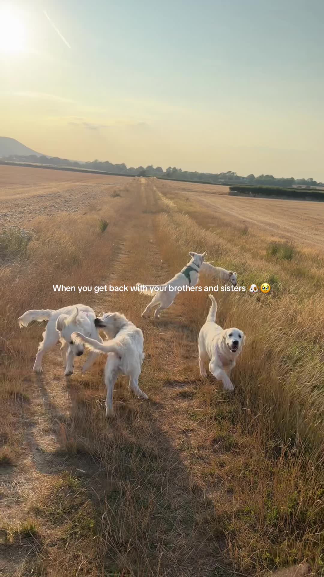 @Mrshanbrown