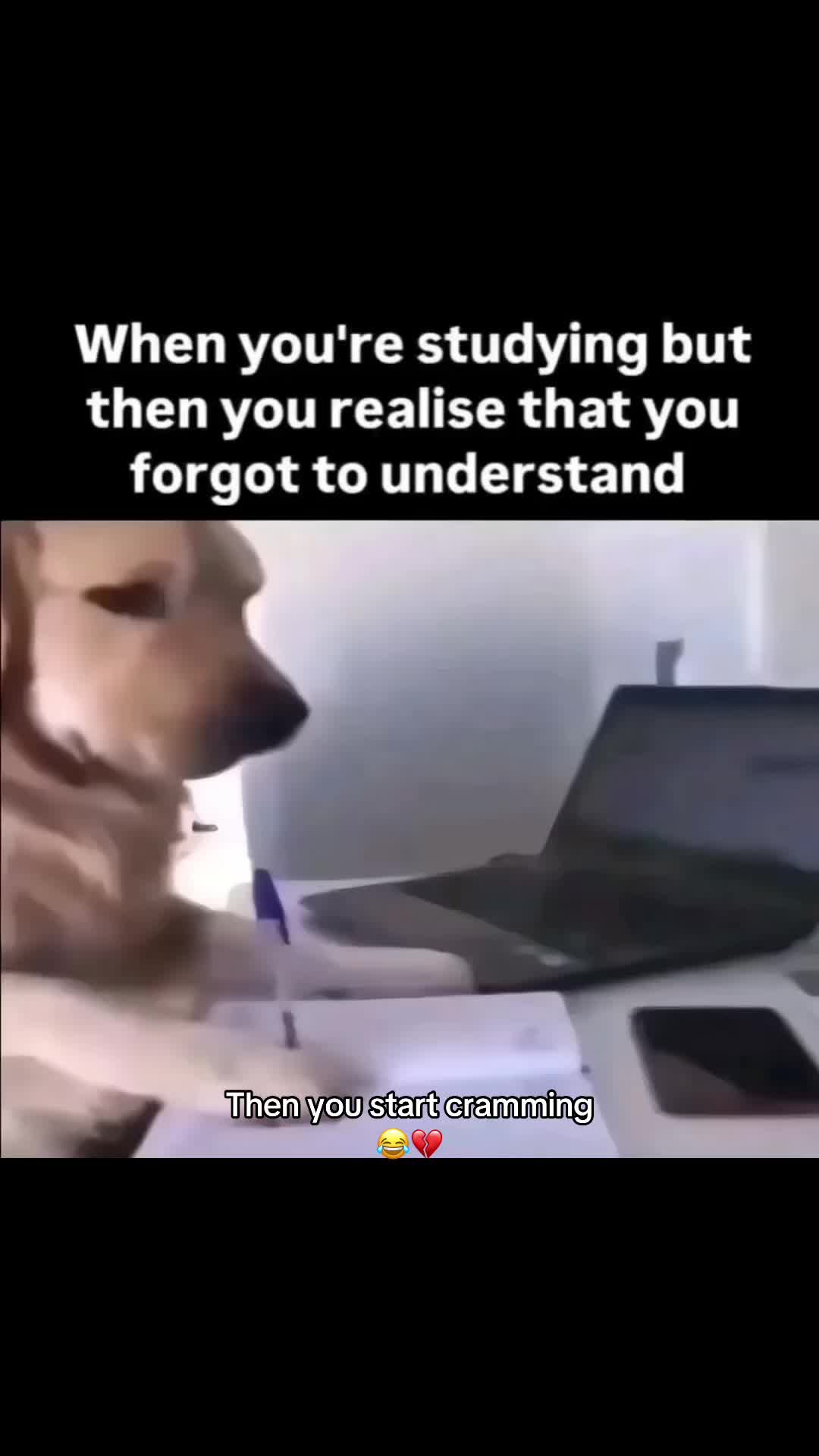 @Gentul Clips | Relatable Memes