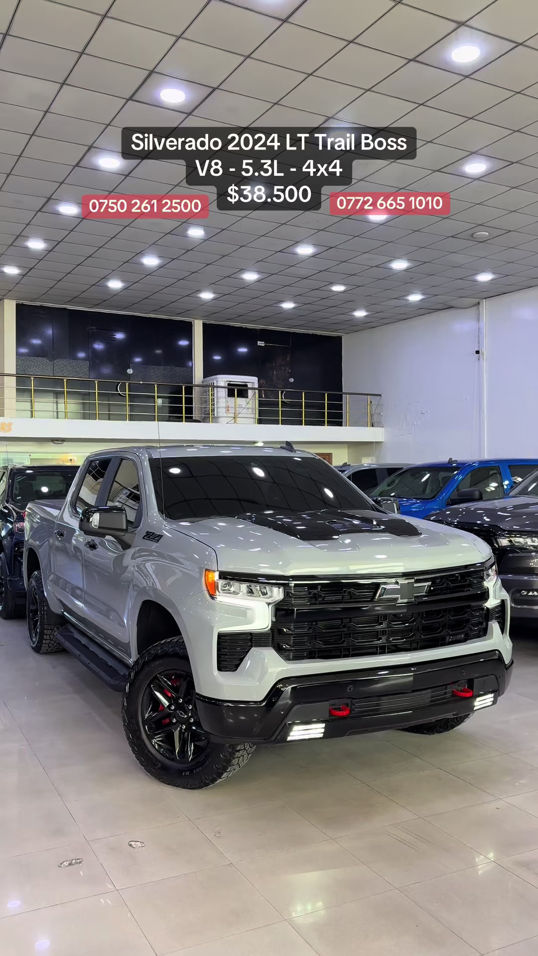 @Madina Cars