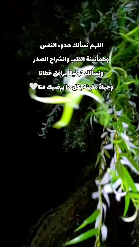 @💎أميـࢪة بأخـ☆ـلاقـي🪞