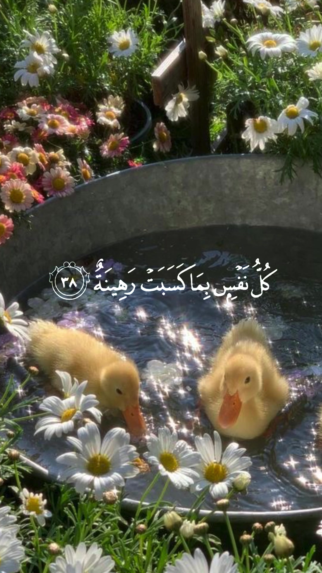 @‧ ₊˚&sdot;آرام&sdot;˚₊ ‧