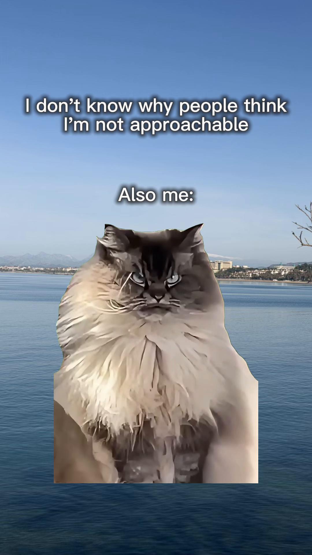 @gemma