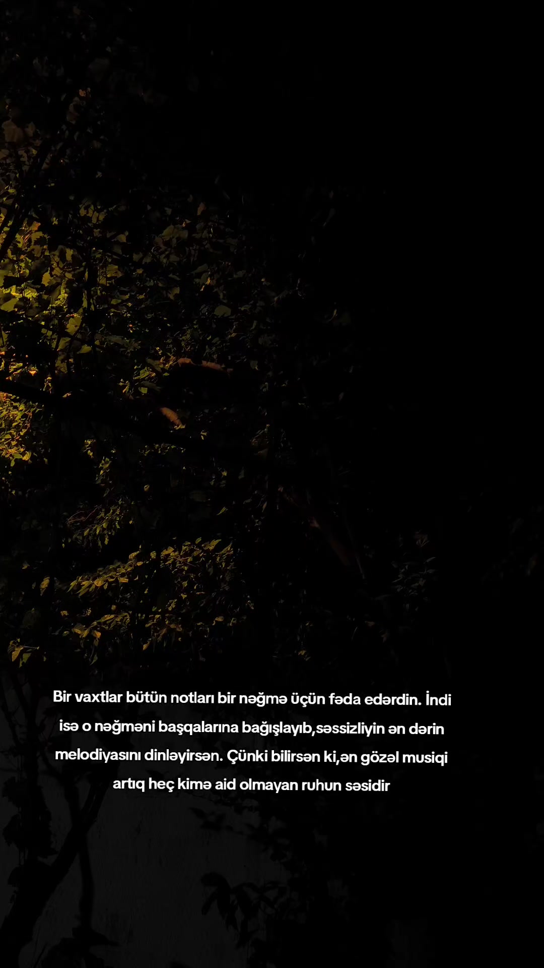 @Qruz Vaxtı