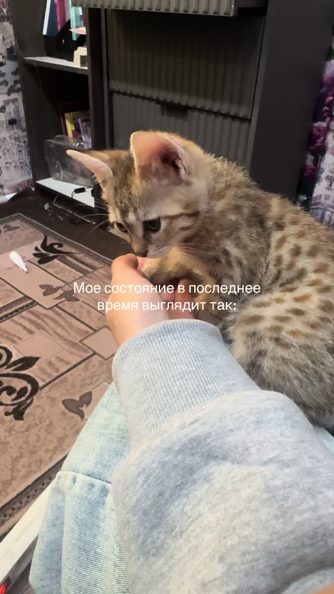 @ТГК:Арка драйв 🎰