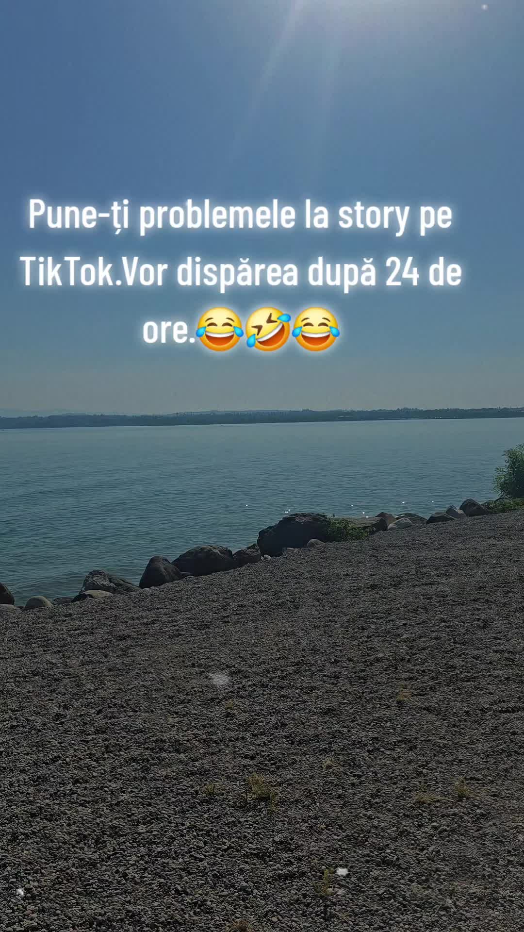 @ank_andreescu867