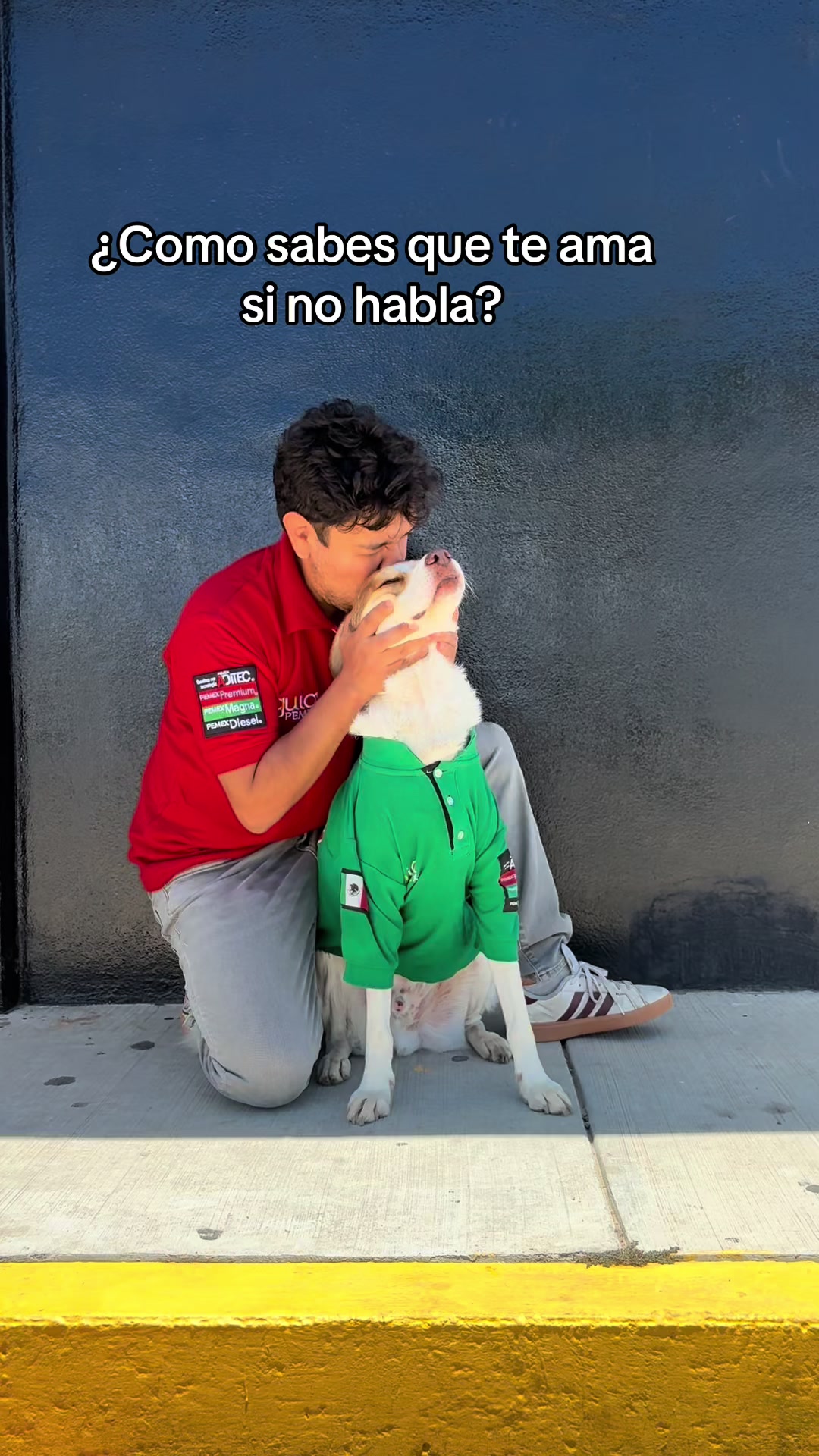 @Mailo el perro gasolinero