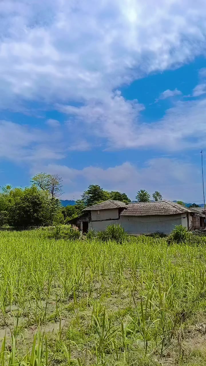 @Krishna Mainali