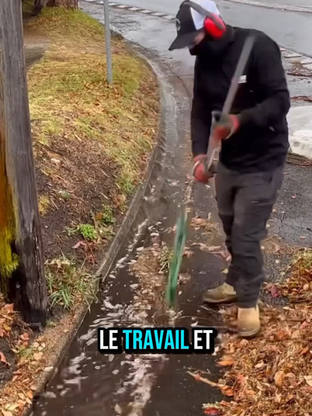 @Planète Jardin 🌿