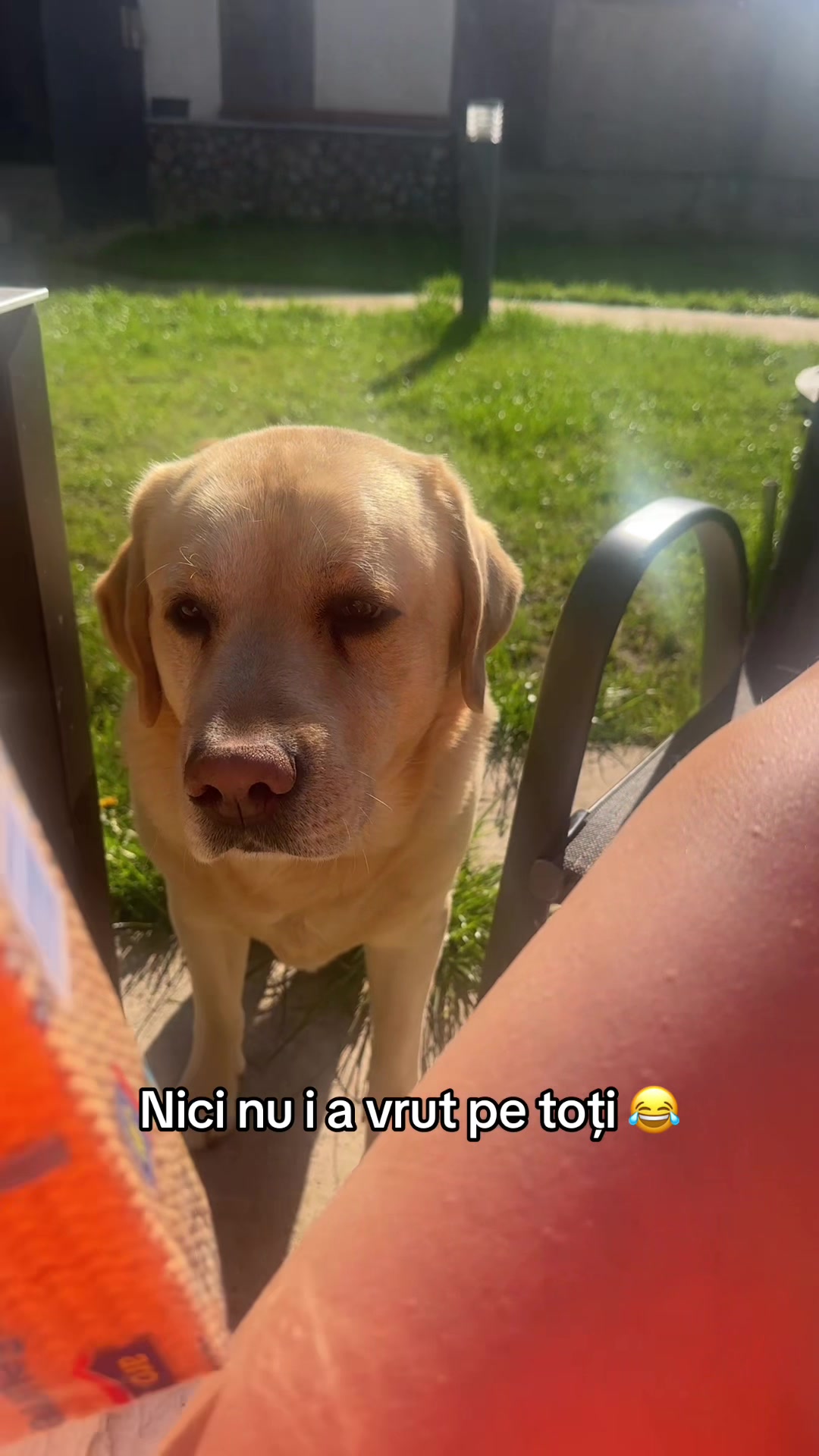 @𝓝𝓲𝓴𝓸🩷🍭